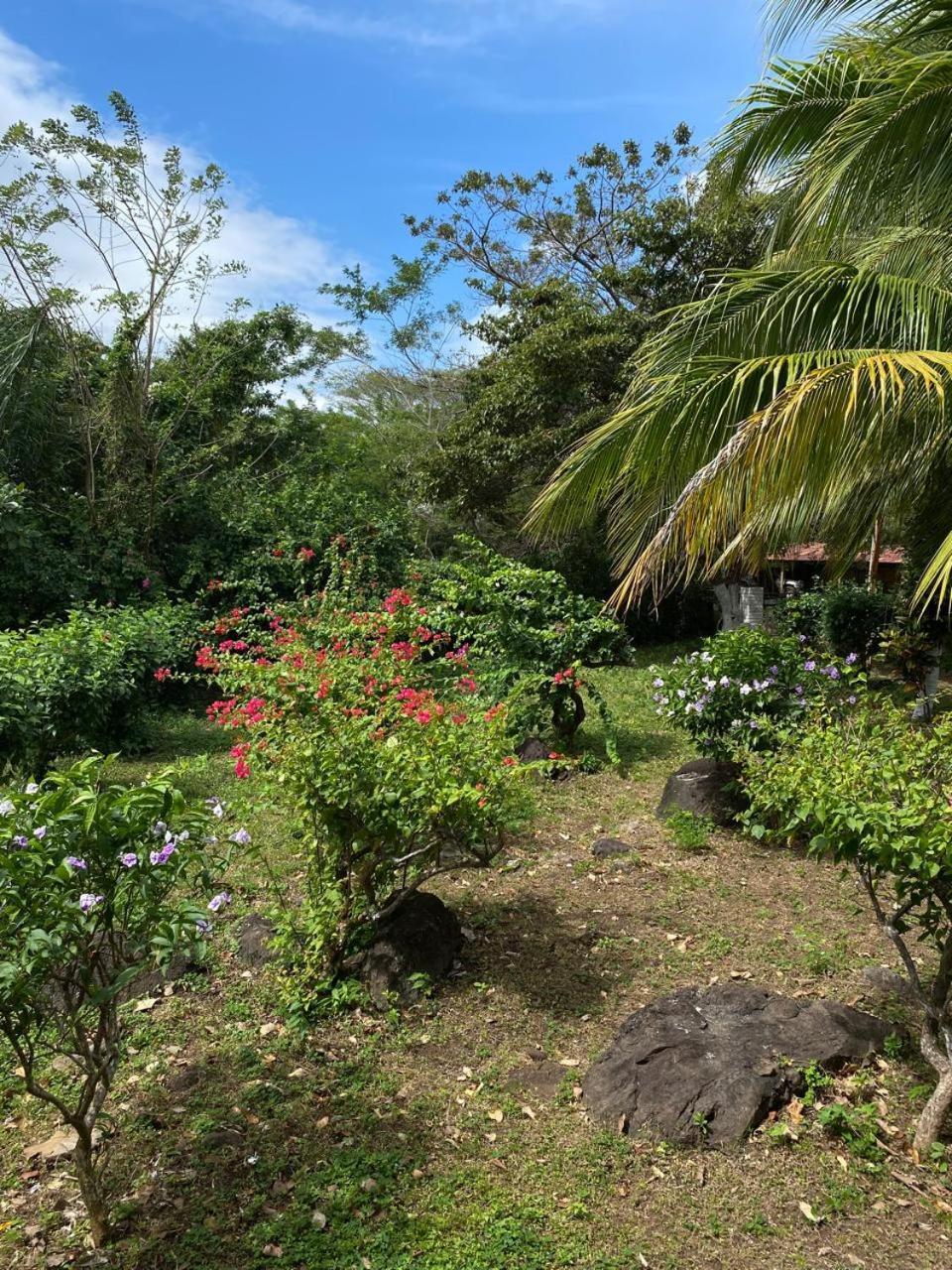 Finca Montana Sagrada Mérida Exterior foto